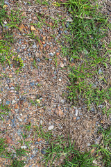 Background Of Green Grass Growing On A Plain Of Gravel