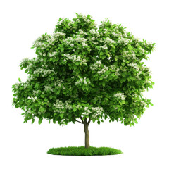 A lush green tree with vibrant flowers, symbolizing nature's beauty and tranquility, perfect for outdoor and landscape themes.
