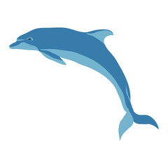 dolfin clipart or illustration isolated on a transparent background.