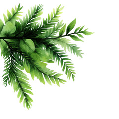 Fototapeta premium A vibrant green fern leaf showcasing intricate details and lush foliage, perfect for nature-themed projects and designs.