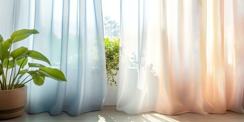 Sunlight through sheer curtains and potted plant.