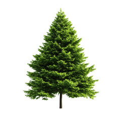 A vibrant green tree, showcasing lush foliage and a natural beauty, ideal for nature-themed projects and environmentally focused designs.