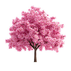 Beautiful pink flowering tree showcasing vibrant blossoms perfect for spring themes and nature designs.