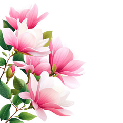 Fototapeta premium Beautiful pink magnolia flowers with lush green leaves, perfect for nature-themed designs and floral arrangements.