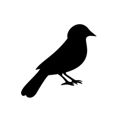 Bird silhouette vector art design