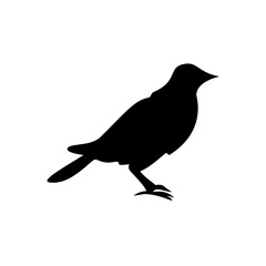 Bird silhouette vector art design