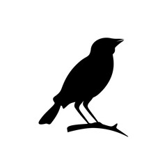 Bird silhouette vector art design