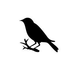Bird silhouette vector art design