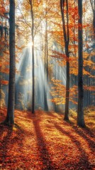 Fototapeta premium Golden and red leaves adorn the forest as sunlight filters through the trees, creating a serene and colorful autumn atmosphere