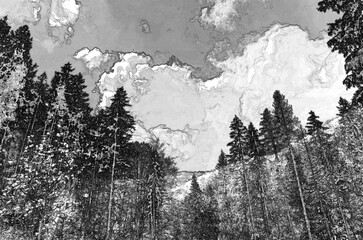 Perspective view of a summer forest, woods pencil drawn sketchy draft illustration