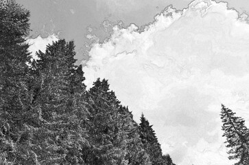 Perspective view of a summer forest, woods pencil drawn sketchy draft illustration