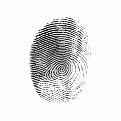 fingerprint isolated on white background