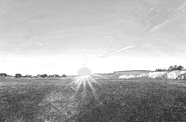 Sunrise in summer, pencil drawn sketchy draft illustration