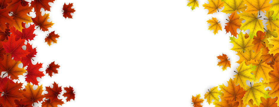 Yellow, orange, and red maple leaves create left and right borders on a white background. Perfect for seasonal designs, announcements, or invitations.