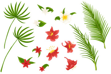 Tropical flowers and leaves vector set. Hand drawn cartoon illustrations of palm leaves, exotic flowers, tea rose, plumeria. Graphic print for invitations, beauty products, package design, sale poster