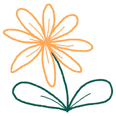 Doodle Flower Hand Drawn Illustration