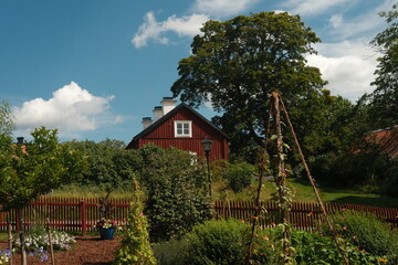 Swedish red house surrounded by a garden in the summer