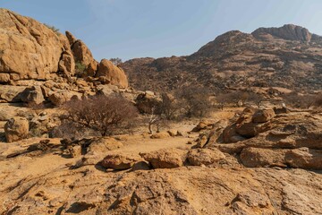 Fototapeta premium Namibia