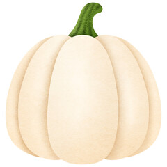 Autumn White Pumpkin 