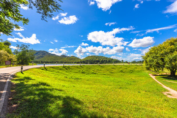 The close background of the green rice fields, the seedlings that are growing, are seen in rural areas as the main occupation of rice farmers who grow rice for sale or living.