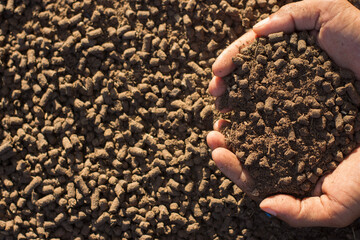 Manure in the hands of a farmer for use in farming.