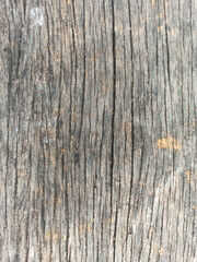 texture of the wood for background wallpaper 