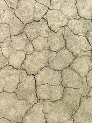dry cracked soil texture background 