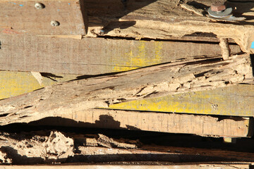 Old wood pile was eating by the termites