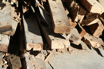 Old wood pile was eating by the termites