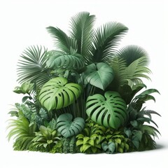 Fototapeta premium Lush green tropical plants bush (monstera, palm, rubber plant, pine and fern), cut out, прозрачный фон 