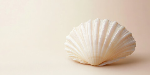 Macro texture luxury nacre seashell background, pearlescent natural pastel background