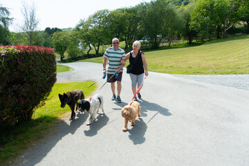 Happy middle aged couple walking their dogs on a summers day in a Caravan Park in rural Wales, enjoying the vacation and the escape from the rate race.