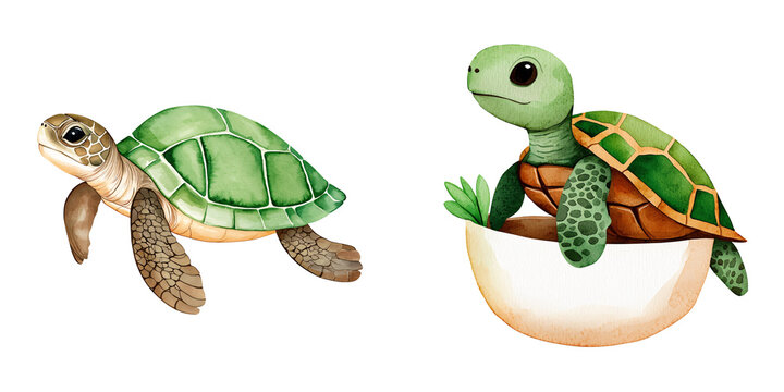Two adorable turtles illustrated in a playful style, one swimming and the other resting in a bowl, perfect for children's themes.