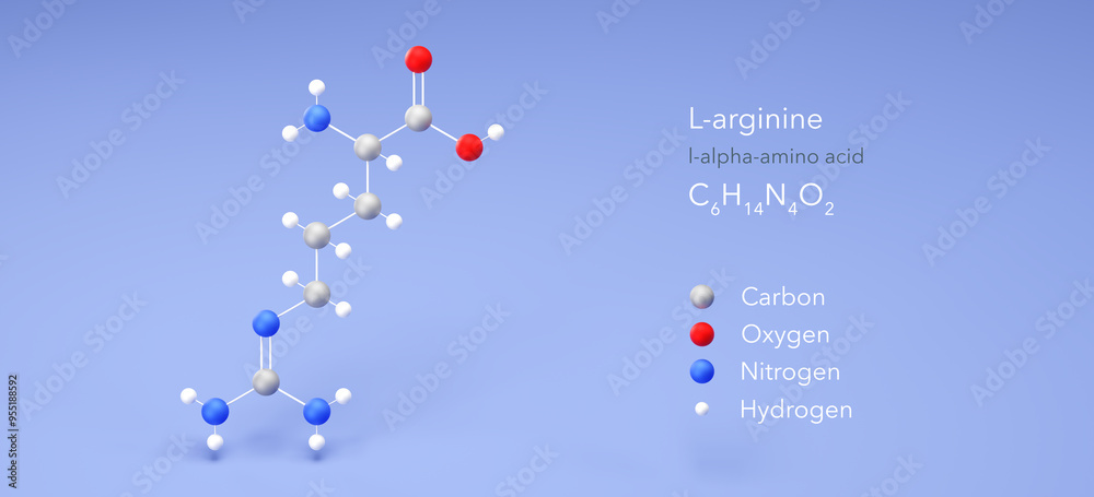 Sticker l-arginine molecule, molecular structure, l-alpha-amino acid, 3d model, Structural Chemical Formula and Atoms with Color Coding