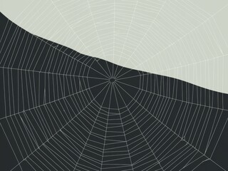 Obraz premium Abstract Geometric Spider Web Design