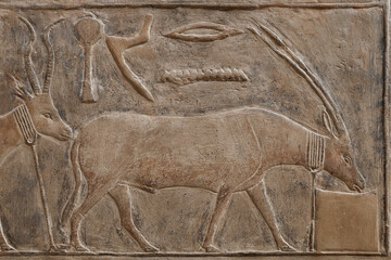 Relief with antelope at the Mastaba of Mereruka . Saqqara . Egypt .