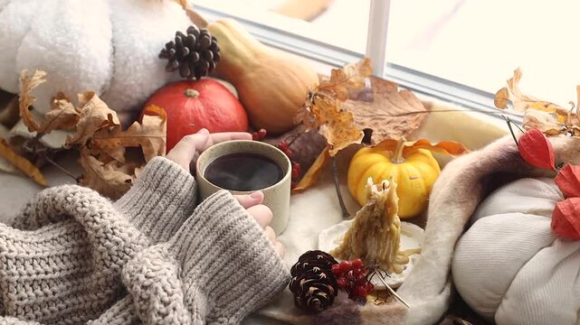 Hello autumn. Hands in sweater holding warm cup of tea and pumpkins, fall leaves and candle on windowsill. Autumn hygge footage, ugc concept