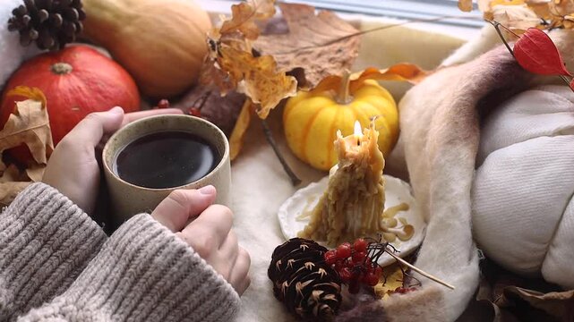 Cozy fall. Hands in sweater holding warm cup of tea and pumpkins, fall leaves and candle on windowsill. Autumn hygge footage. Hello autumn