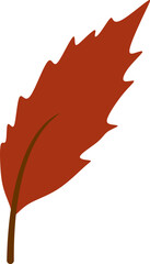 Obraz premium Organic Autumn Leaf