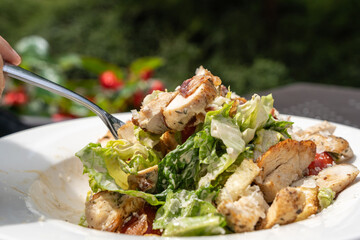 Caesar Salad, Green Lettuce Salat with Chicken and Parmesan Cheese Closeup