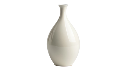 Ceramic modern vase on transparent background