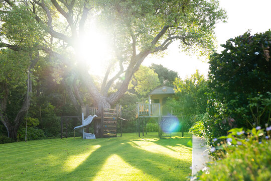 Sunlight shining through trees in backyard with treehouse and slide