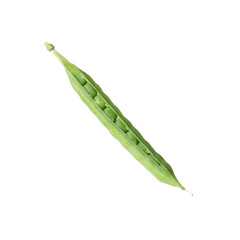 One green fresh pea pod isolated on white