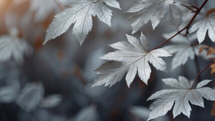 Shimmering silver foliage background for autumn.