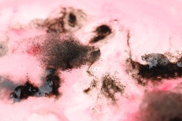 Fototapeta premium Sample of bacteria culture as background, macro view