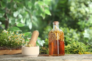 Natural tincture in bottle and herbs on wooden table outdoors