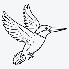 kingfisher-bird flying