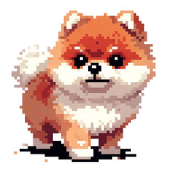 Fototapeta premium 흰 배경, 포메라니안, 픽셀아트 (White background, Pomeranian, Pixel Art)