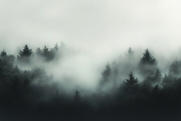 Obraz premium Misty Forest Landscape with Pine Trees