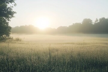 Obraz premium Misty Meadow Sunrise Landscape